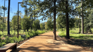 Memorial Park in Houston is one of the signature greenbelts in Houston and it is located in the Rice Military / Washington Avenue Corridor. Image brought to you by Norhill Realty, one of the best real estate agencies in Houston.